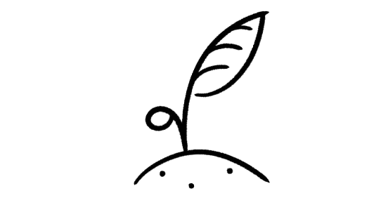 A seedling plant growing out of a mound of dirt.